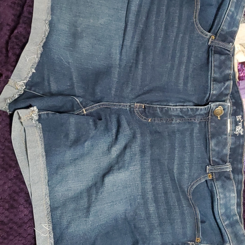 Gently Used Shorts